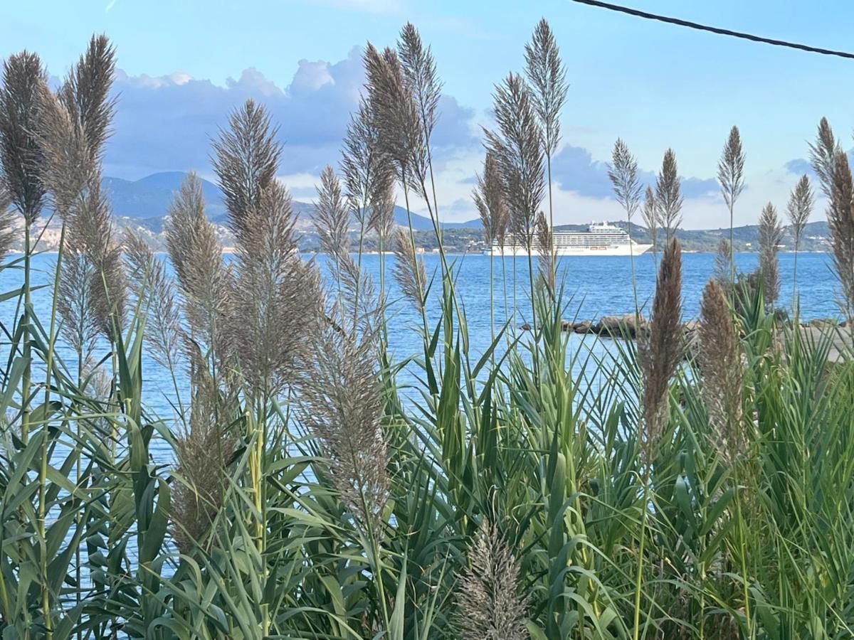 Apollonides Seafront Villa 2 Melete Lixouri Exterior foto